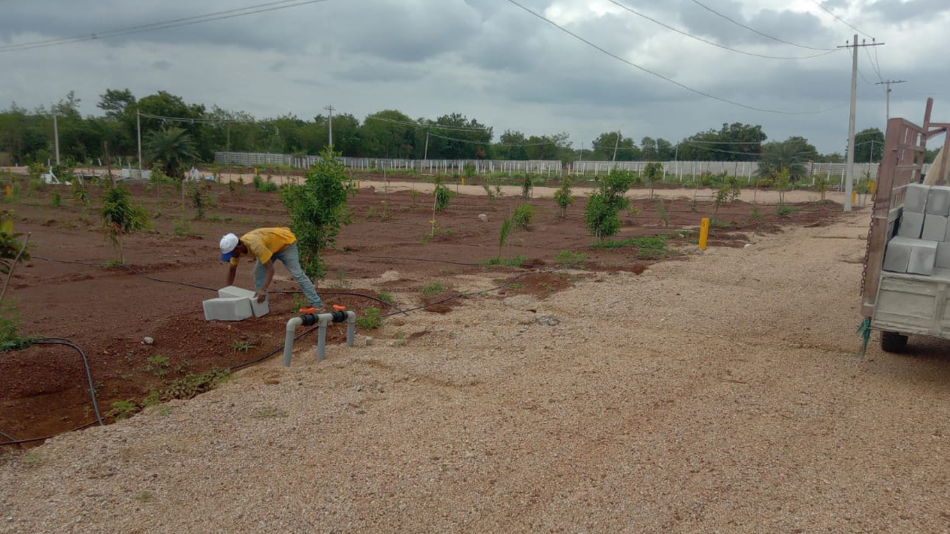 Chevella pharma city and allotment